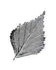 RJ Legend Birch Leaf Ornaments, Christmas/Fall Decor