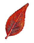 RJ Legend Evergreen Ornaments, Small Leaf Fall Decorations, Christmas Ornaments, Fall Decor