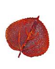 RJ Legend Aspen Ornaments, Small Leaf Fall Decorations, Christmas Ornaments, Fall Decor