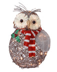 RJ Legend Silver Owl Rattan Decoration Lighted Display Set For Home, Room and Outdoor Decor, Christmas Decorations