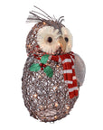 RJ Legend Silver Owl Rattan Decoration Lighted Display Set For Home, Room and Outdoor Decor, Christmas Decorations