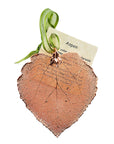 RJ Legend Aspen Ornaments, Small Leaf Fall Decorations, Christmas Ornaments, Fall Decor