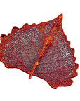 RJ Legend Cottonwood Ornaments, Small Leaf Fall Decorations, Christmas Ornaments, Fall Decor