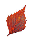 RJ Legend Birch Leaf Ornaments, Christmas/Fall Decor