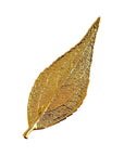 RJ Legend Evergreen Ornaments, Small Leaf Fall Decorations, Christmas Ornaments, Fall Decor