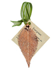 RJ Legend Evergreen Ornaments, Small Leaf Fall Decorations, Christmas Ornaments, Fall Decor