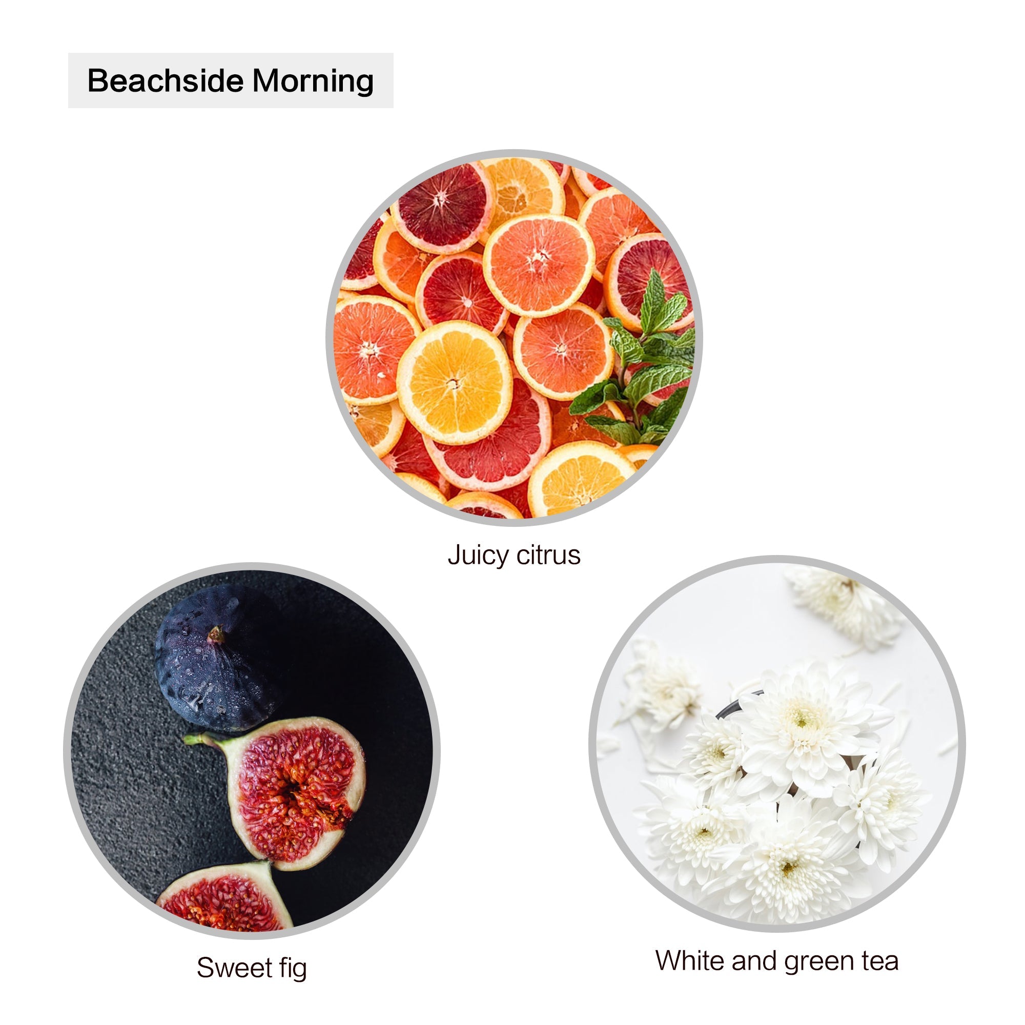 Cozyville Fragrances, All Natural Soy Candle 5 PC Tester Set, 2.7 Ounce - Small