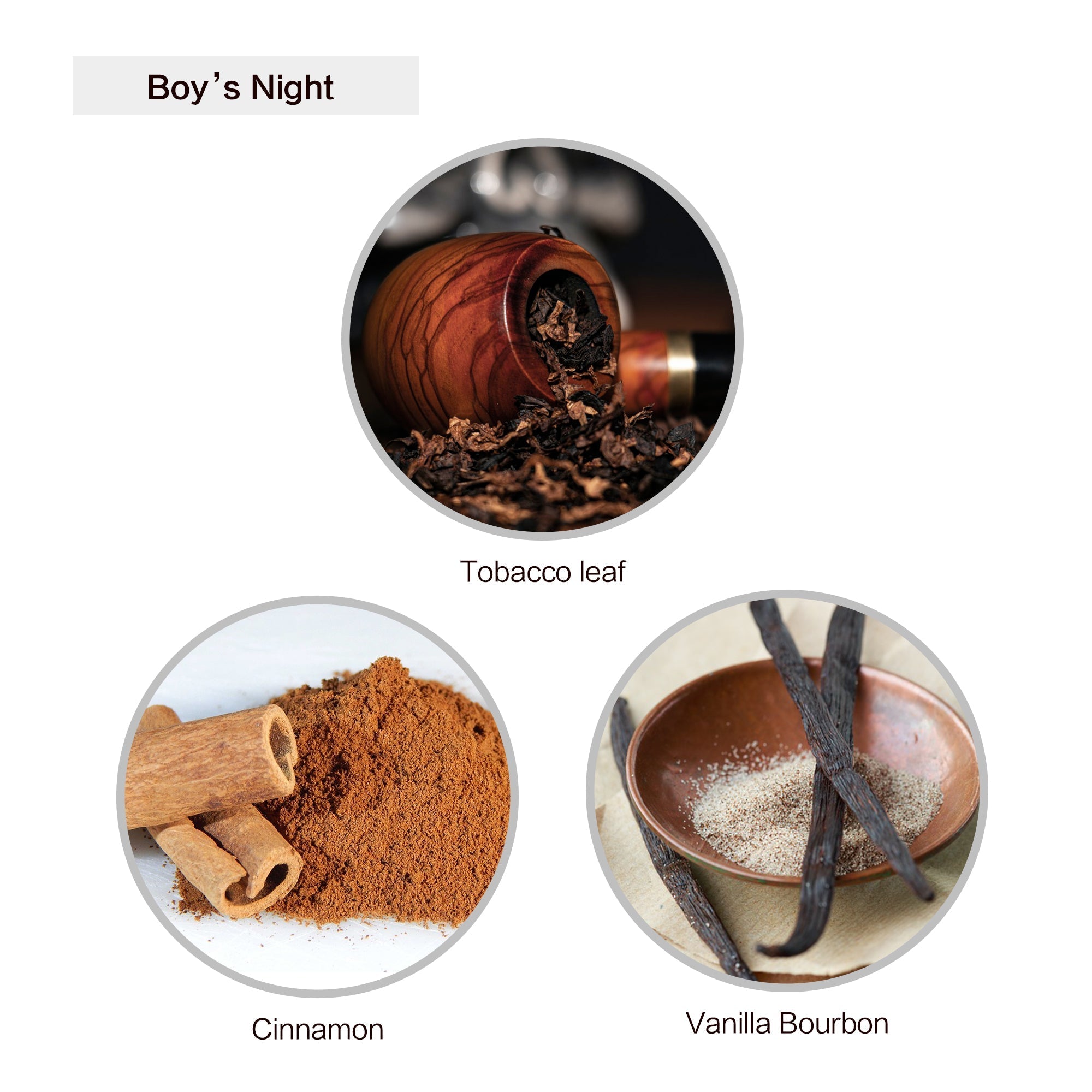 Cozyville Fragrance Blotter Card, Sample Perfume Scent Strips Set