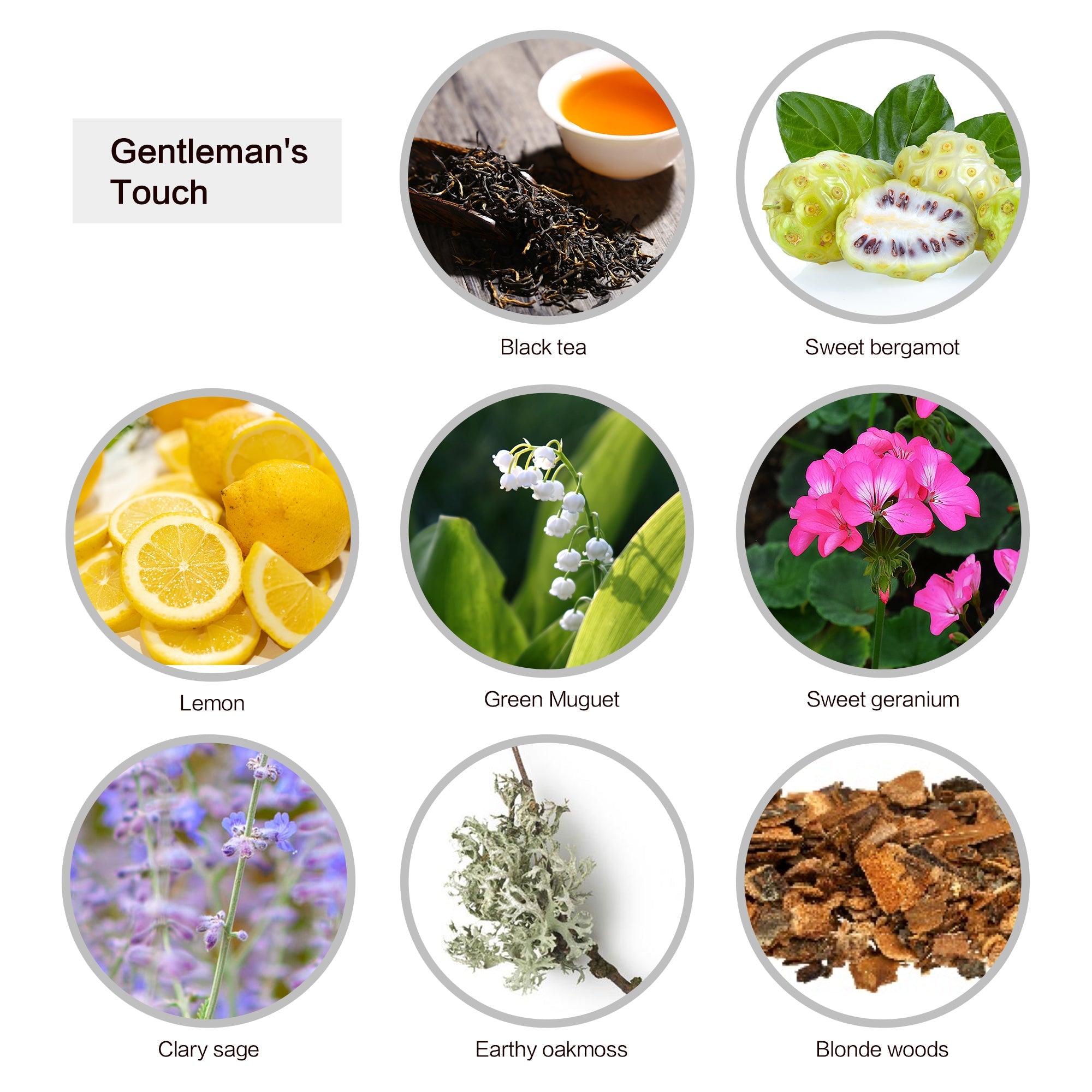 Cozyville Fragrances, All Natural Soy Candle 5 PC Tester Set, 2.7 Ounce - Small