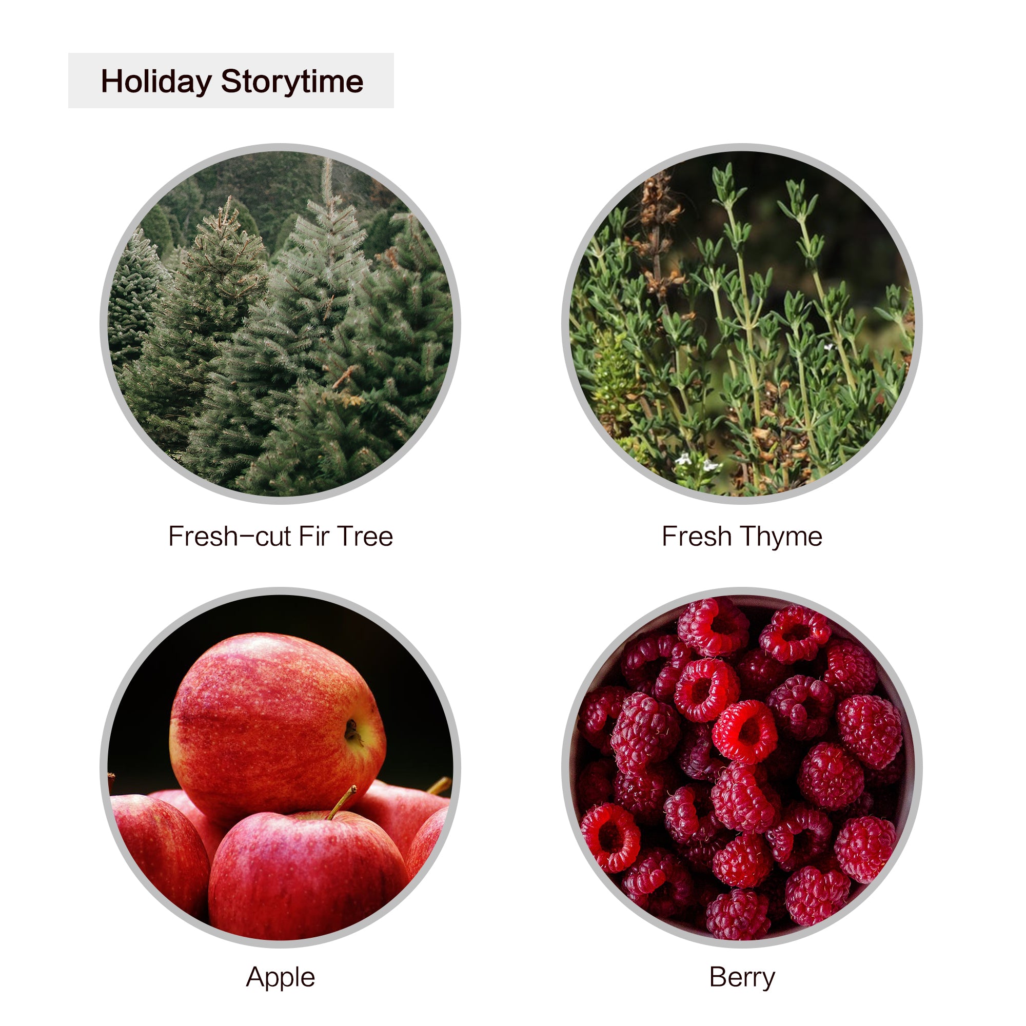 Cozyville Fragrances, Soy Candle, 5.7 Ounce Charmed Aroma - Medium