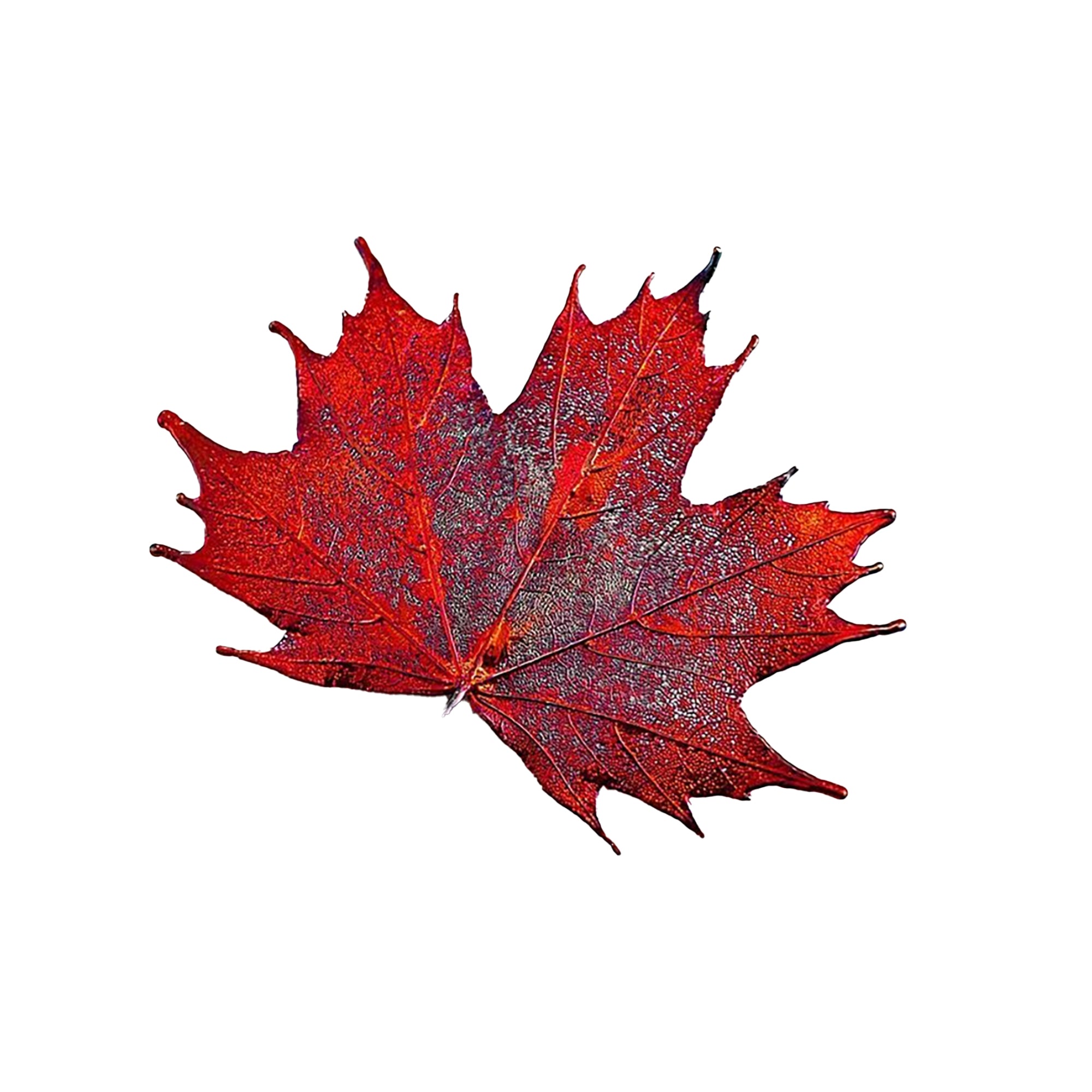RJ Legend Sugar Maple Ornaments, Small Leaf Fall Decorations, Christmas Ornaments, Fall Decor