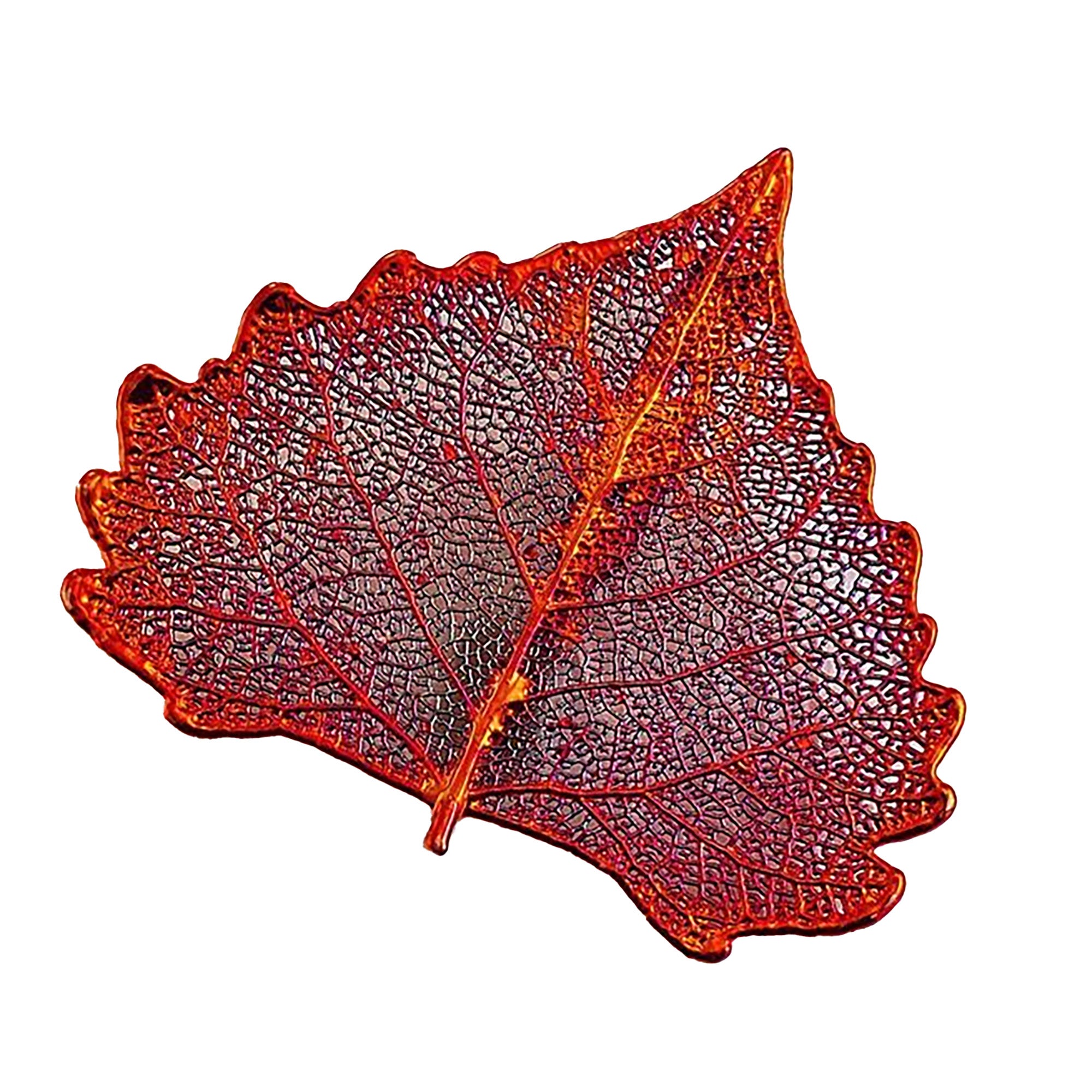 RJ Legend Cottonwood Ornaments, Small Leaf Fall Decorations, Christmas Ornaments, Fall Decor