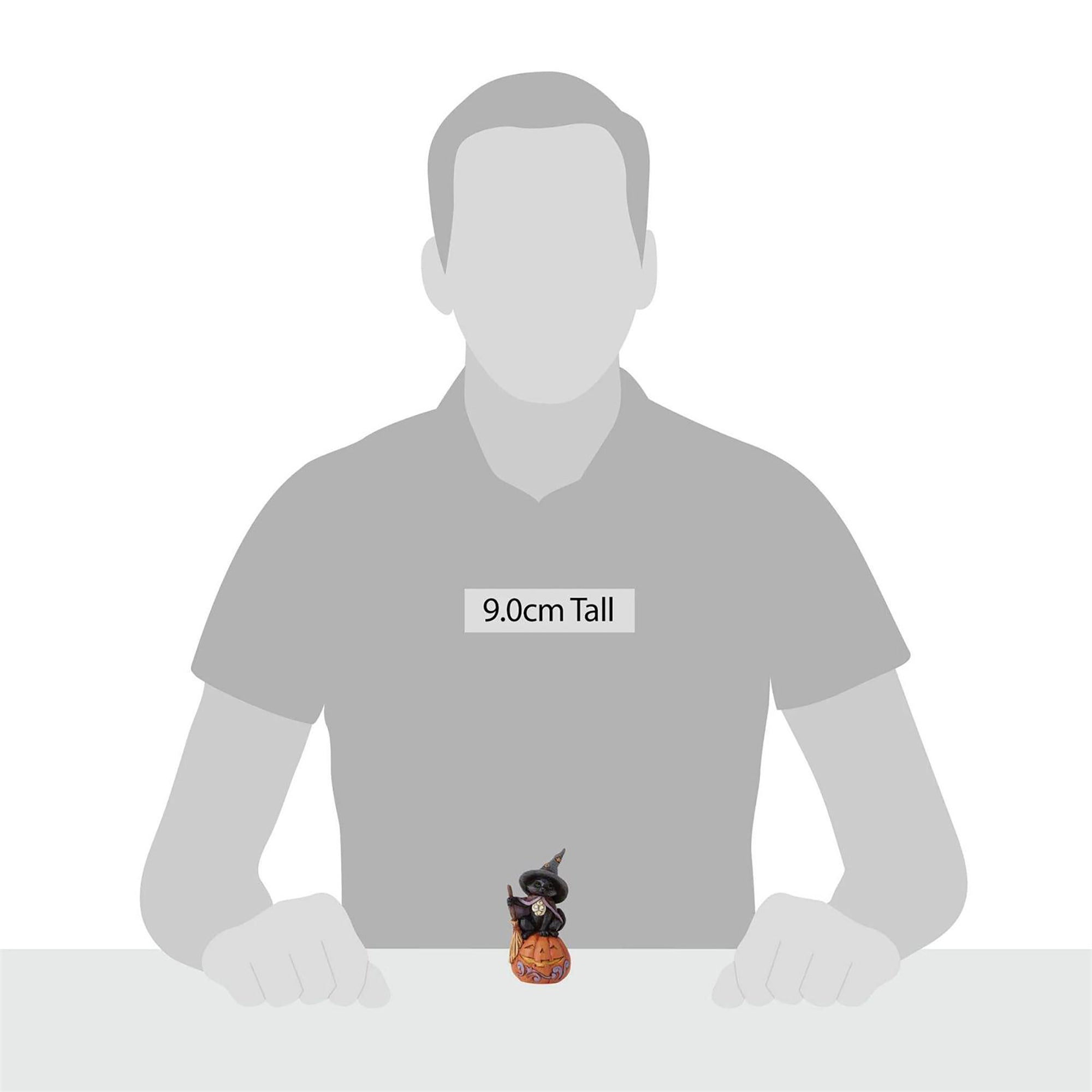 RJ Legend Black Cat on Pumpkin Mini Figurine, Black Cat Decor, Halloween Decoration, Spooky Ornament